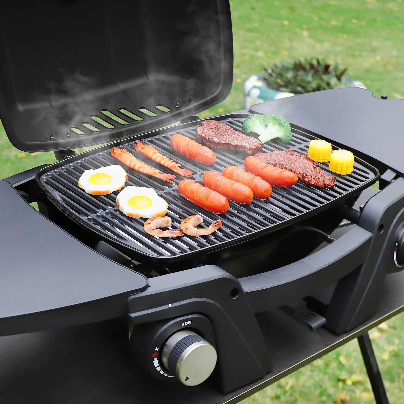 CE Certified Portable 2-Burner Gas BBQ Grill for Outdoor Cooking with  Foldable Side Panels
