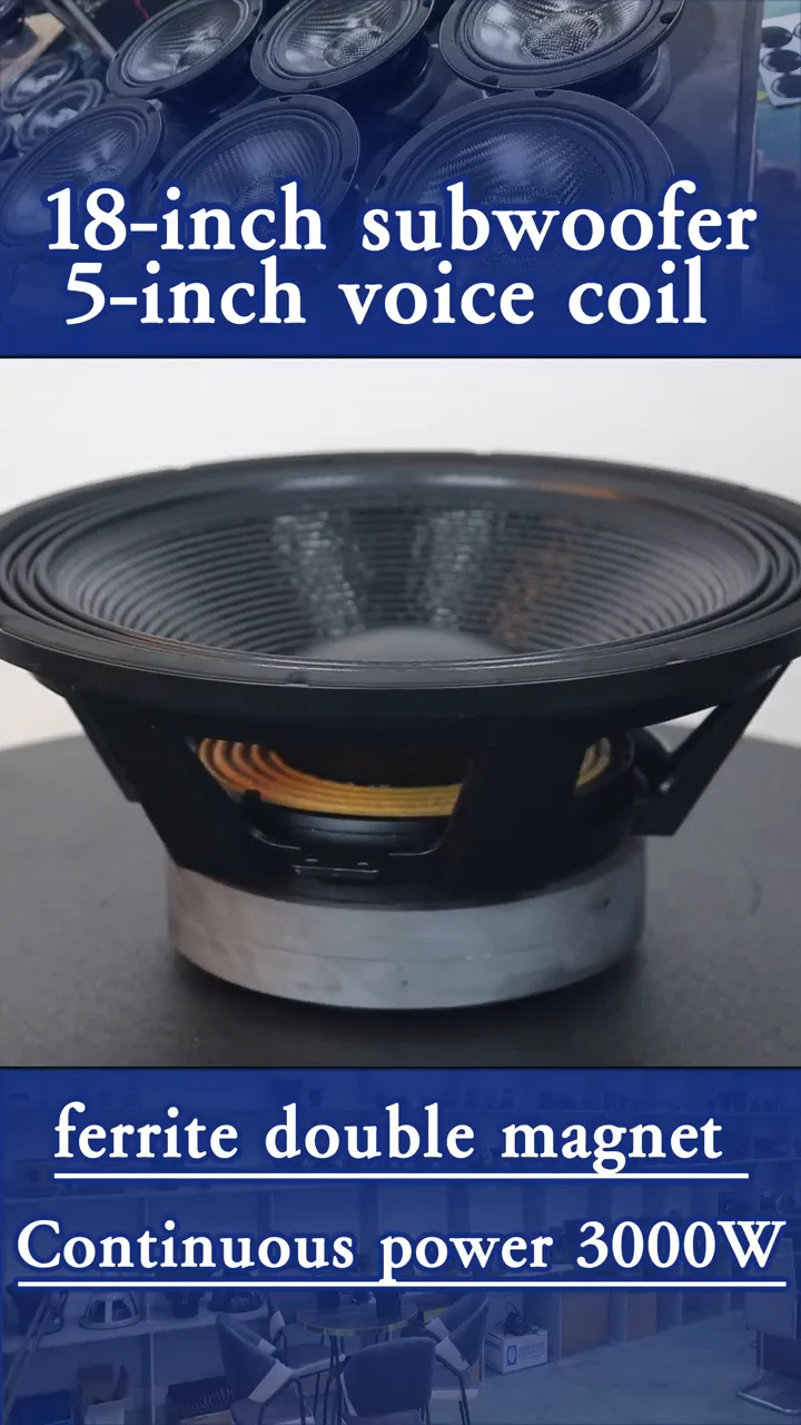 HUIYIN 18125-011 Hot Sale 18 Inch Speakers Professional Audio