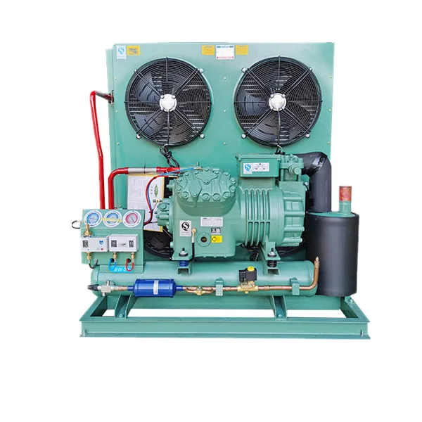Bitzer and Emerson Compressor Freezer Condenser Unit Energy-Saving Cold Room Refrigeration Unit for Retail Industry
