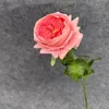 สีส้ม