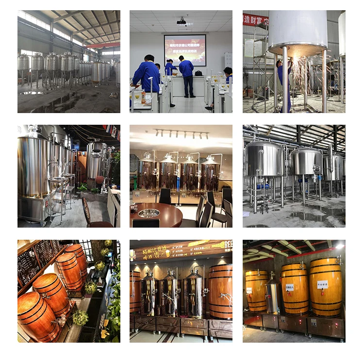 beer brewing system making craft beer for sale