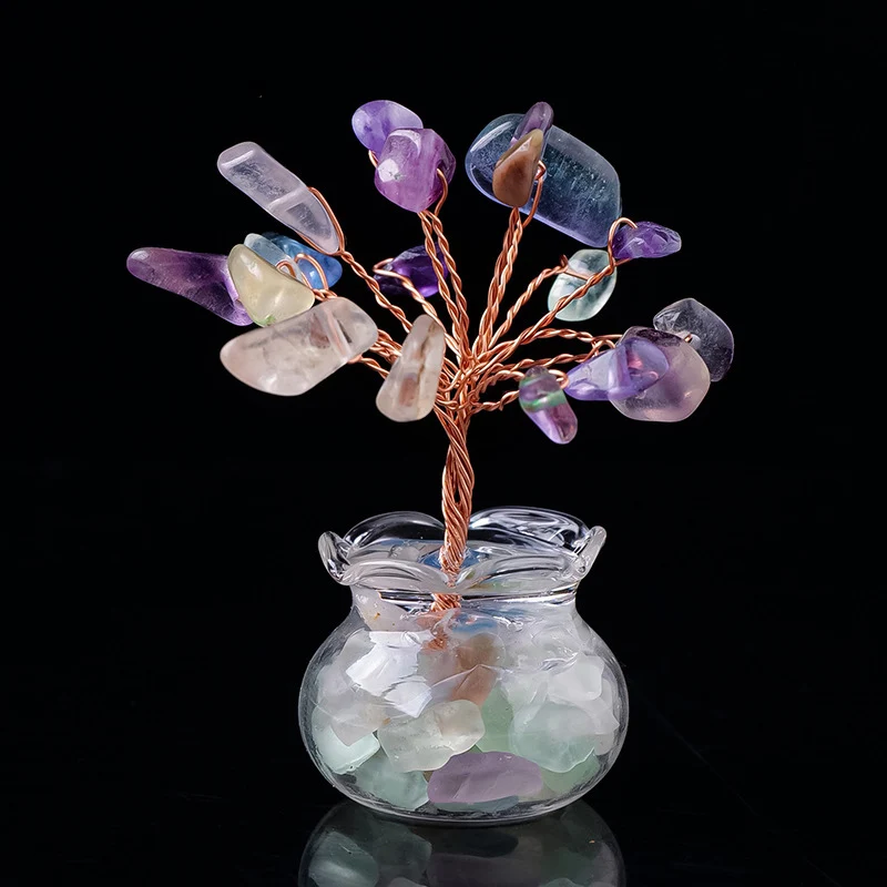 wild money tree Money Tree