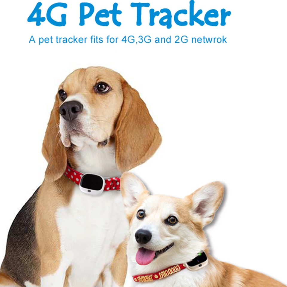 4G GPS WIFI трекер V43 голосовой монитор Waterpoof IP67 устройство отслеживания в реальном времени мини-растатор gps-локатор для домашних животных собак кошек детей