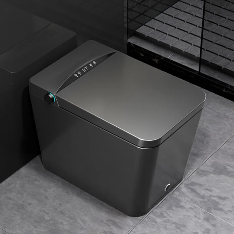 Luxury Hotel Electric Bidet Heat One Piece Intelligent Water Closet