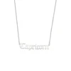 N226_Capricorn_Silver