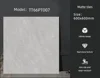 TT66PT007