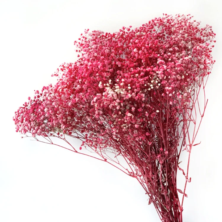 Red Babies Breath Mini Artificial Gypsophila Flowers - Favour This