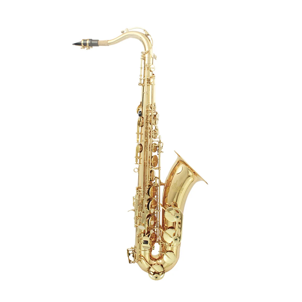 SLADE – lot de 10 anches de Saxophone professionnel, puissance 2.5