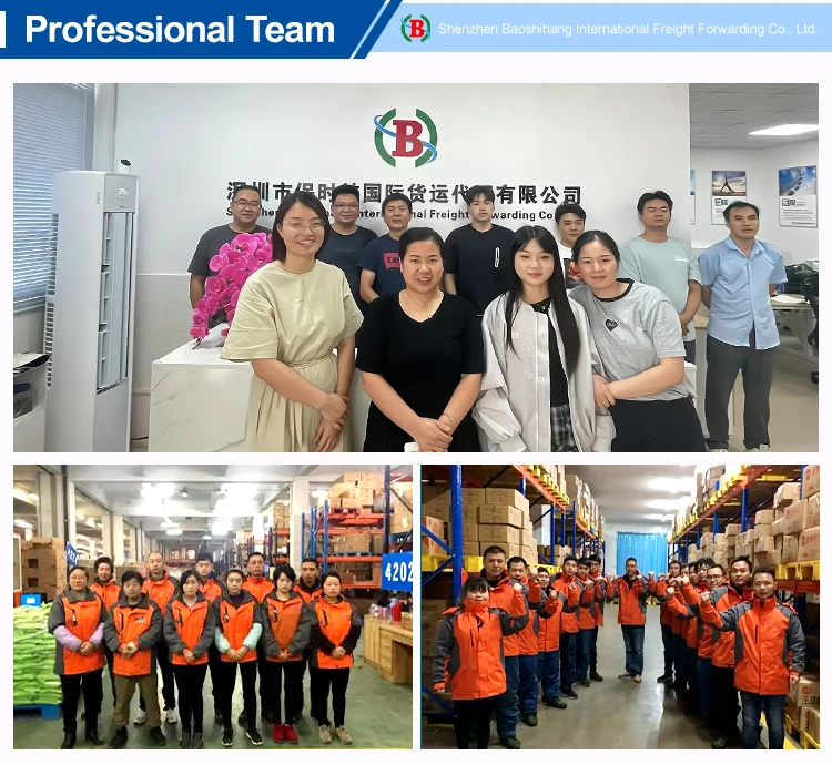 Door to Door DDP UPS Fedex DHL Express Delivery from China