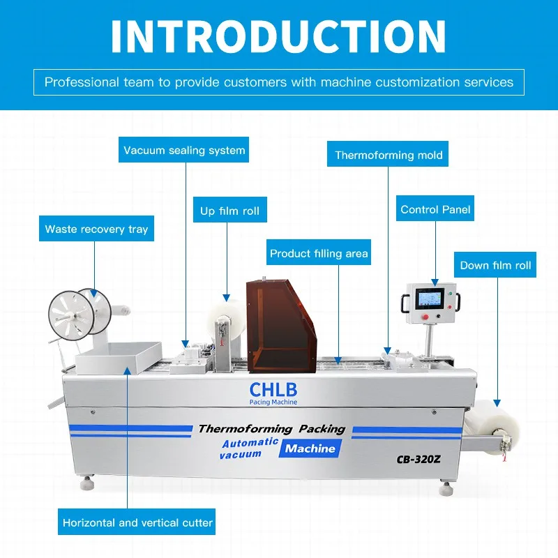 Automatic Thermoforming Food Vacuum Packaging Machine Sausage Meat Stretch Film Packing Machine