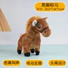 Marrone cavallo dal piede nero