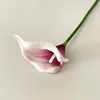 Núcleo Morado y Blanco sobre Fondo Blanco