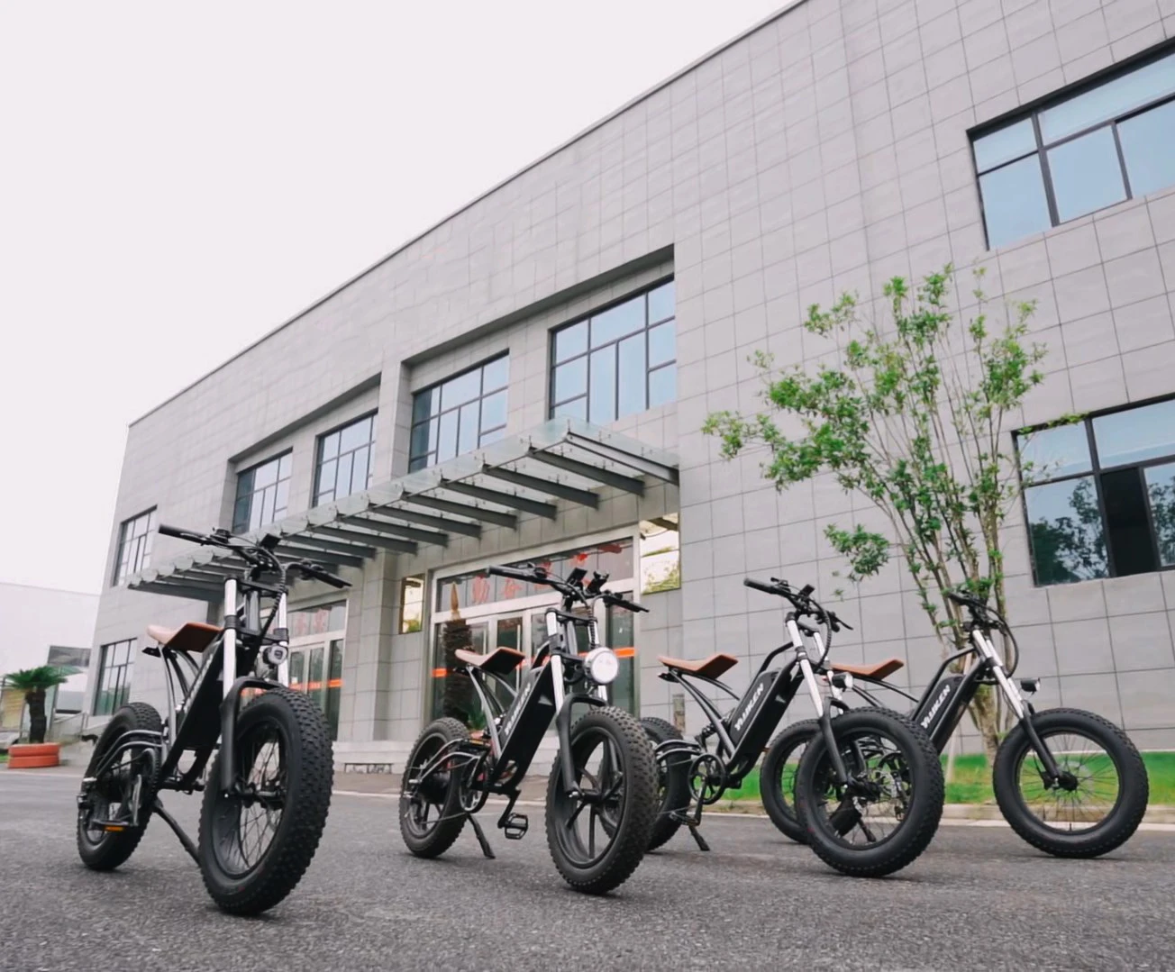 Ebike 車体　Yuki専用 ENTRE VEHICLE アントレビークル E-Bike PXID-2 電動アシスト