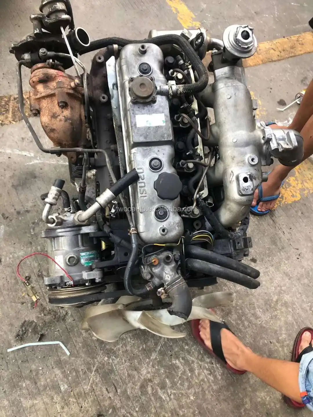 2800CC Isuzu V8 Engine - Diesel Power for Pickup Trucks