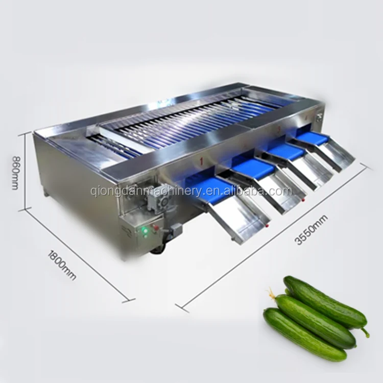 Automatic Potato Size Grading Sorting Machine Sweet Potatoes Radial Sorter and Grader Line Machines Equipment Price for Sale