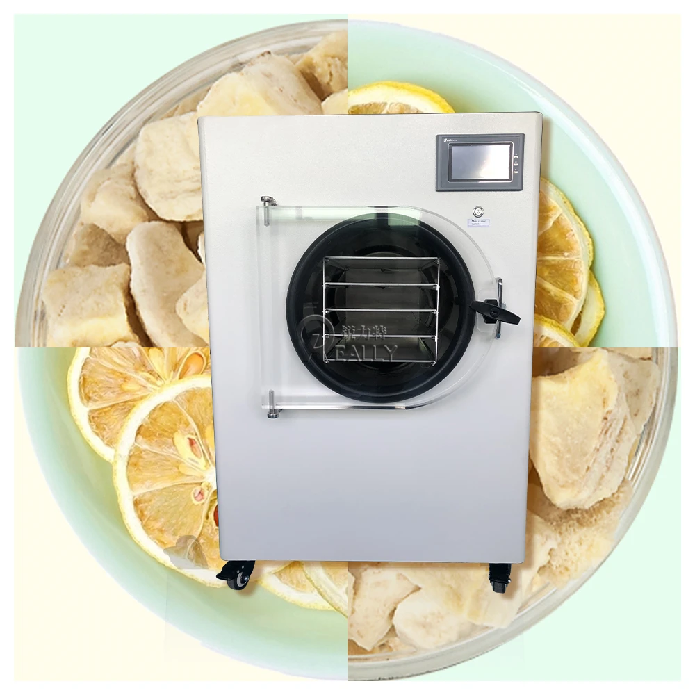 Food freeze drying machine for home use vegetable/ fruits drying