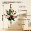 Pink camellia ground insert tree