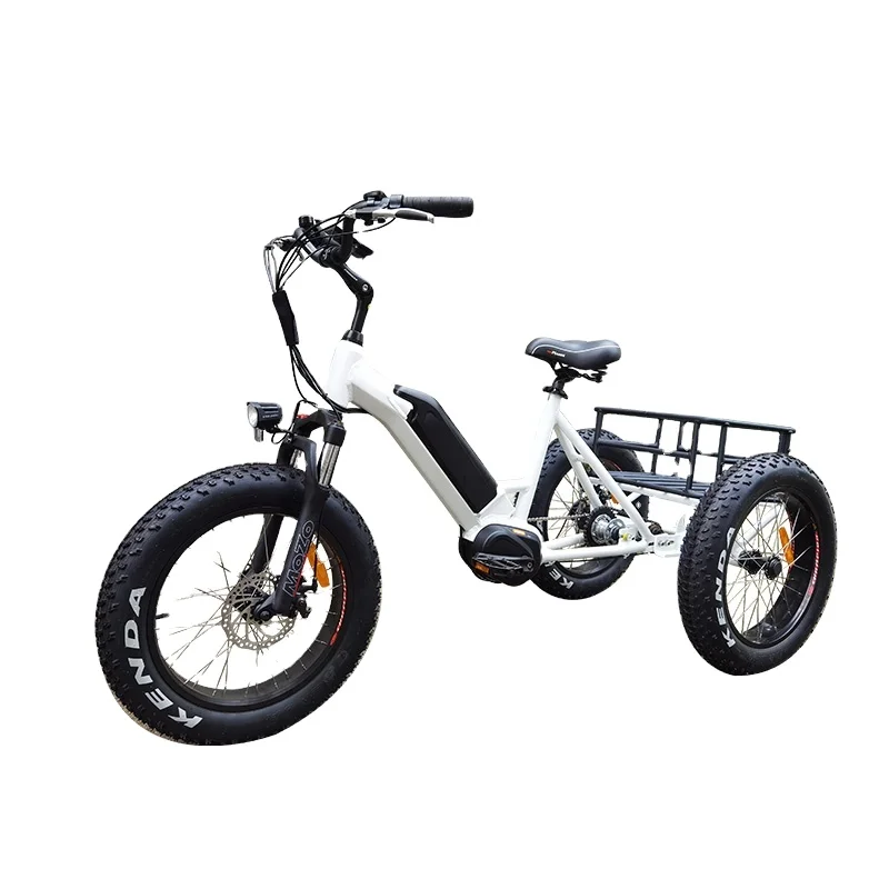Bafang Ultra Max Motors Power and Efficiency for Trikes