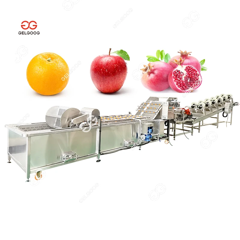 2 Ton/Hr Lemon Sorting Apple Washing and Waxing Machine Automatic Orange Mango Fruit Wash Waxing Machine