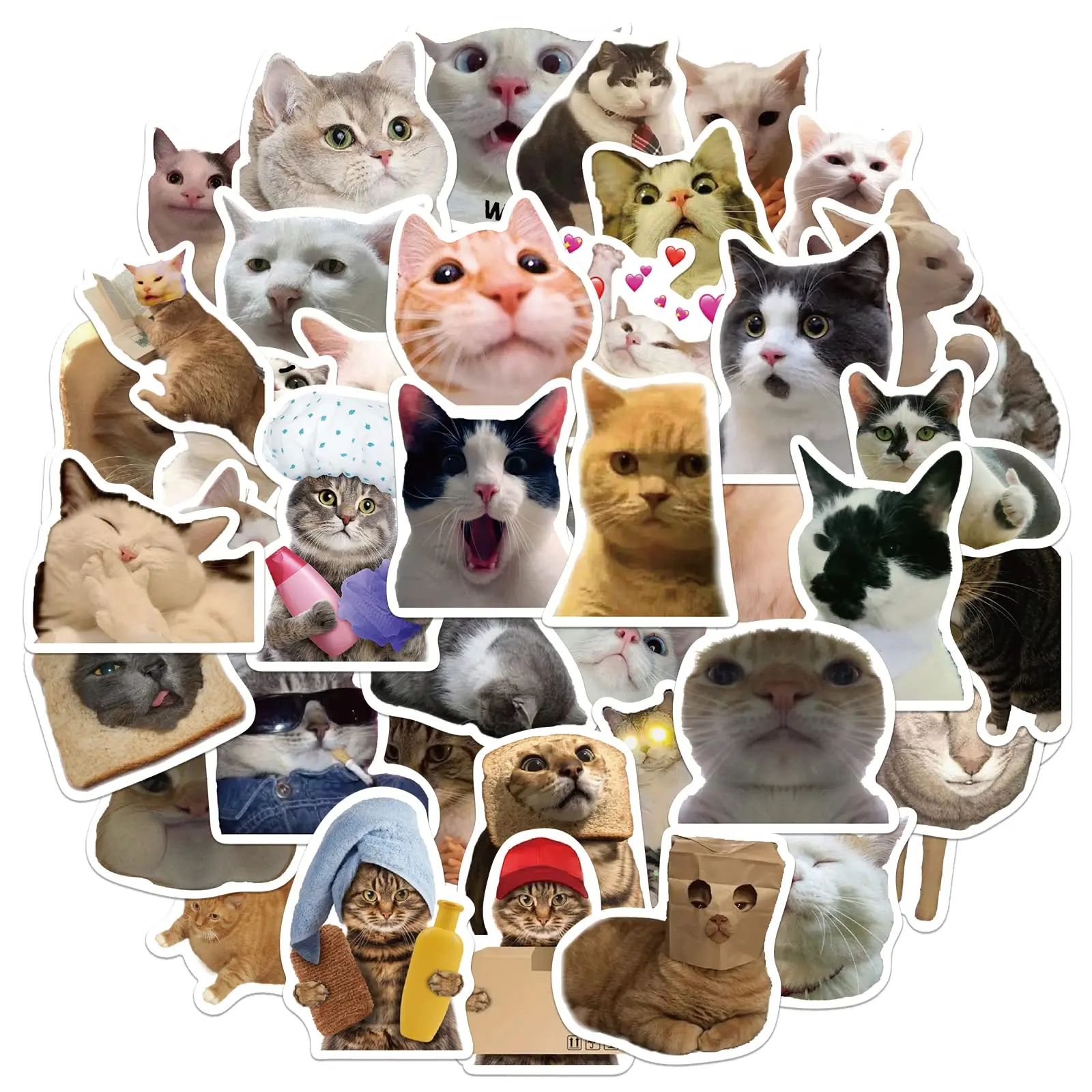 Funny Meme Cat Stickers for Kids & Teens - Waterproof Vinyl Decals