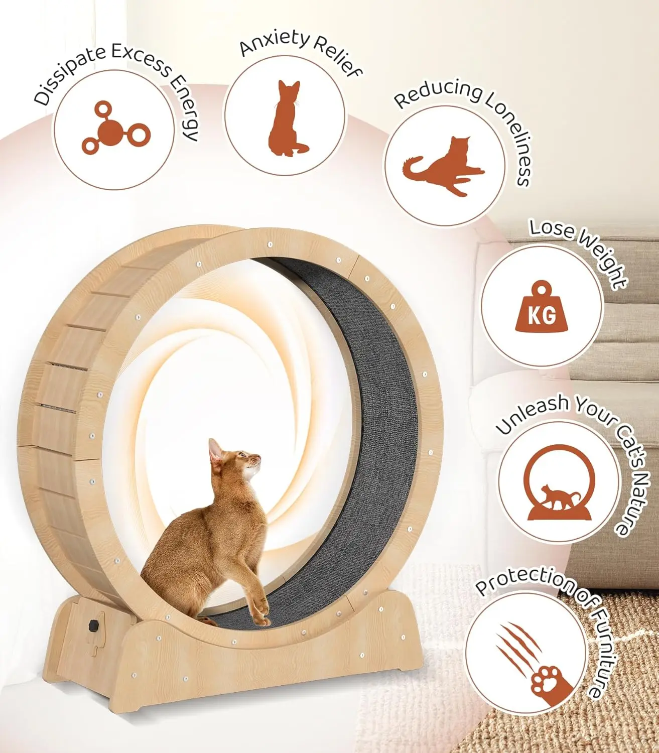 Easy Installation  Large Cat Treadmill Cat Exercise Wheel with Pedometer