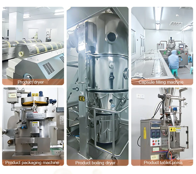 OEM Private Label Body Magic Chlorophyll Capsules Adult-Friendly Parsley Leaf Supplements for Health and Wellness One Bottle