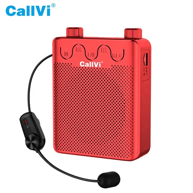 CallVi V-807 Rechargeable Mini Audio Speaker Amplifier with Wireless Microphone and FM Radio