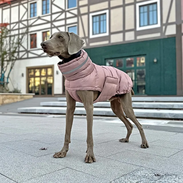 High Neck Dog Down Jacket High Quality Greyhound Dog Clothes Large Dog Pet Padded Coat Waterproof Outdoor