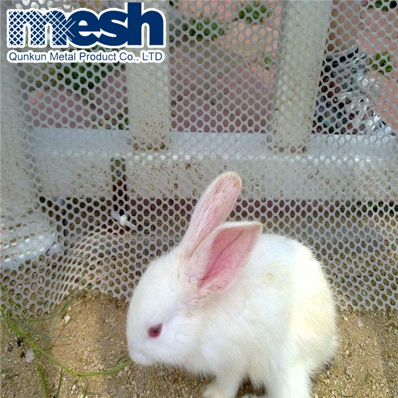 Extruded Polypropylene Flat Plastic Plain Mesh Netting Plastic Mesh