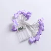 Viola