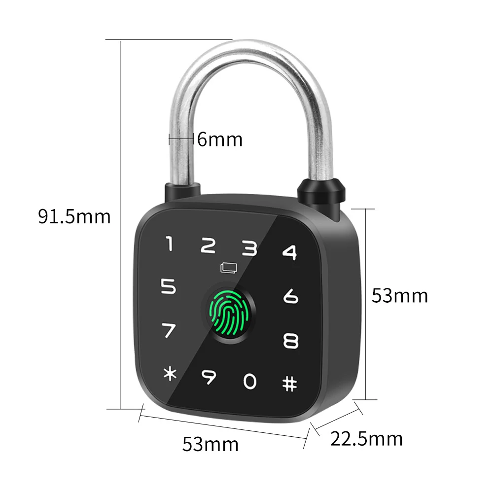 Smart Aluminum Alloy Padlock with Fingerprint Password RFID Card Key Smart Tuya App for Unlock for Wood Door Garage Shed Locker