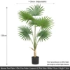120cm fan palm