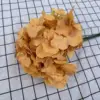 Ginger yellow
