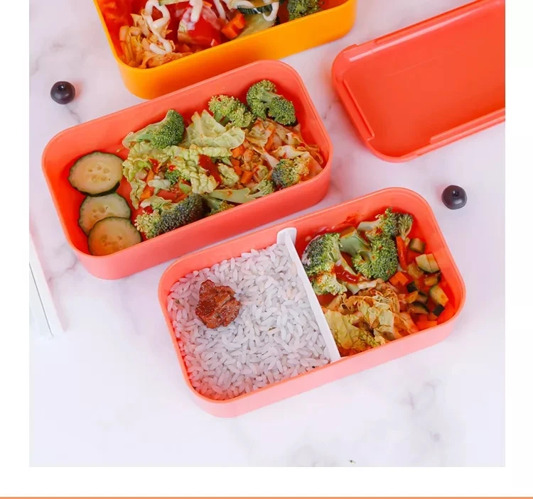 Customized Japanese Bento Boxes With Utensils Two Layer Lunch