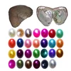multi color(AA grade)