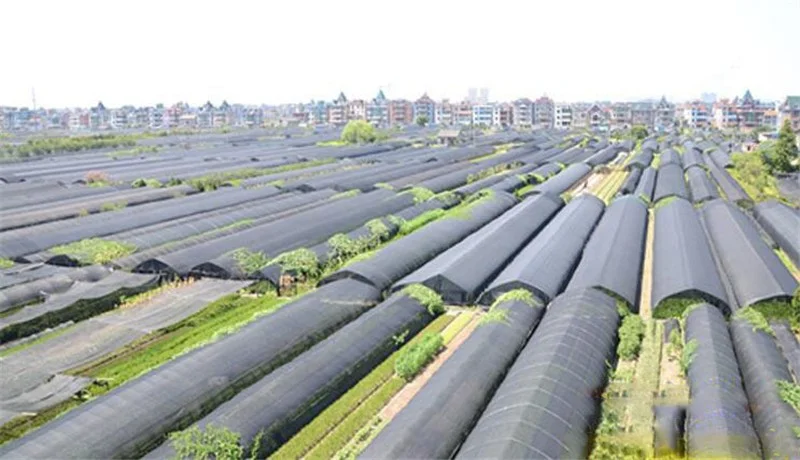 herb greenhouse