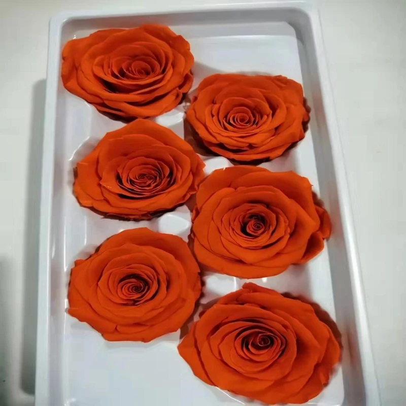 Beautiful A Grade Real Touch Preserved Rose Head 56 Cm Rose Bud 6 Pieces Per Box For Valentine