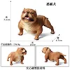 colorato M-674 Brown Bully Dog [0,176 kg]