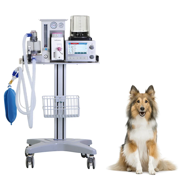 Medical veterinary gas anesthesia machine vet anesthesia equipments for pet cat dog Animal