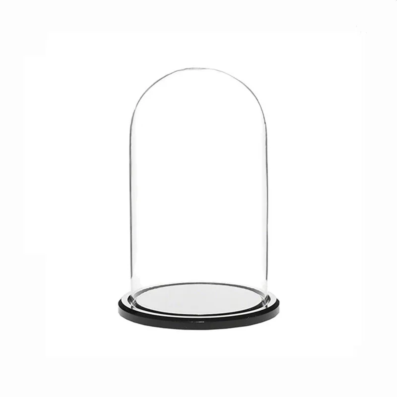 
 Торговая гарантия стеклянный купол колокол с деревянной основой хорошая цена  