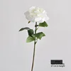 Enlarged flower head-white