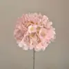 สีชมพู