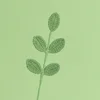 (5Leaves) Four Seasons flowers and branches-Bean Green
