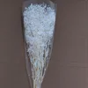 bianco puro C 100g 50-60cm