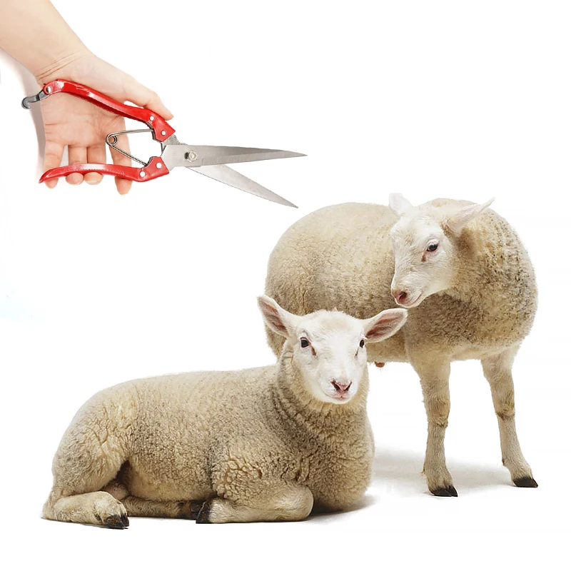 Portable Sheep Wool Shearing Machines High Quality Goat Sheep Hair Trimmer Hair Clippers Manual Wool Shears