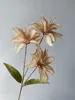 3-Head Special Price Lily Bulb Brown