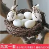 A bird's nest