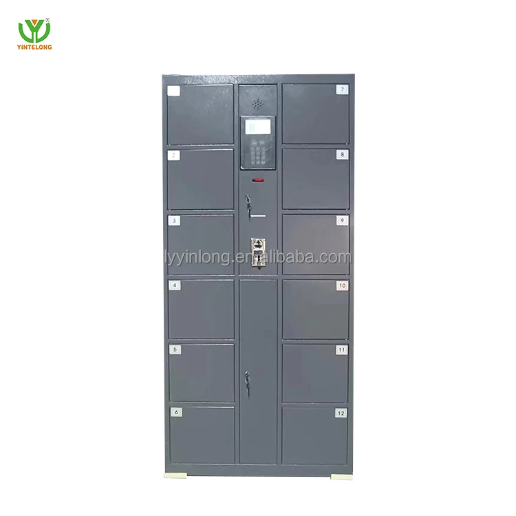 Yinlong Black Coin Barcode Storage Locker Smart Cabinet Digital Locks ...