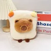Capybara