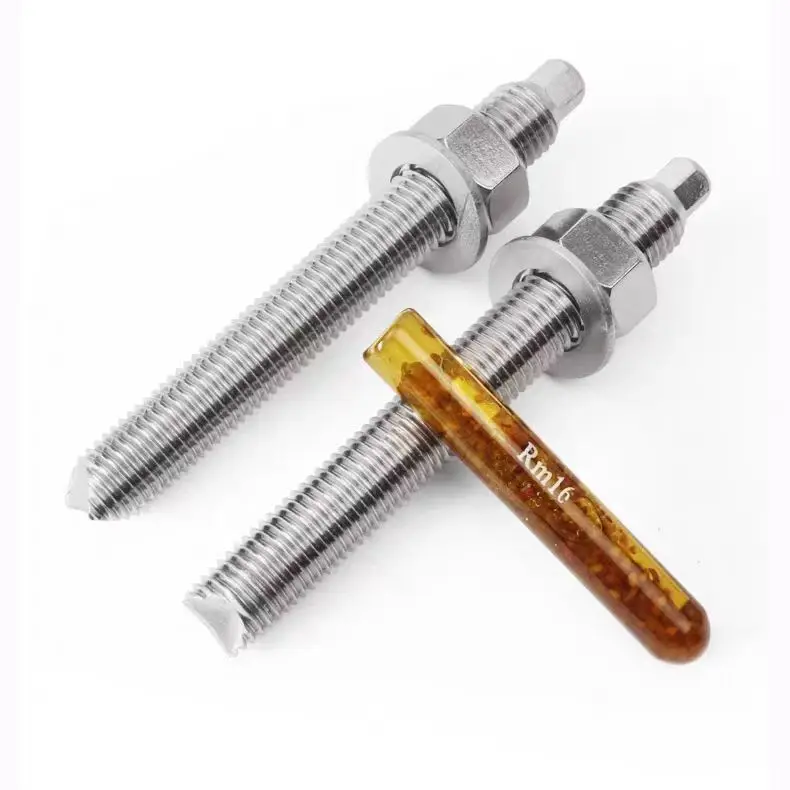 Stainless Steel Two-Type Anchor Bolt with Nut Washer Sharp Cut Head Chemical Expansion Bolts Plain Finish